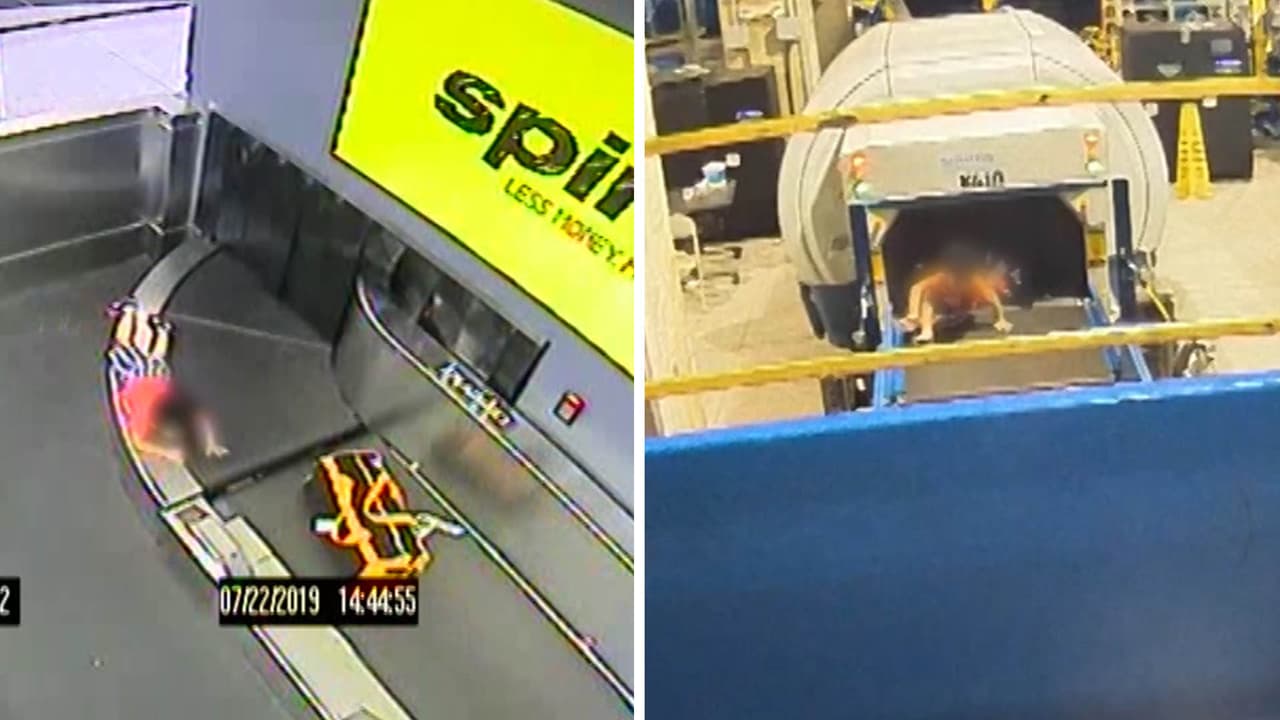 Un niño de origen hispano resultó lesionado luego de caer por la banda transportadora de equipaje de una aerolínea en el 
<a href="https://www.atl.com/" target="_blank">aeropuerto internacional Hartsfield-Jackson de Atlanta </a>esta semana.