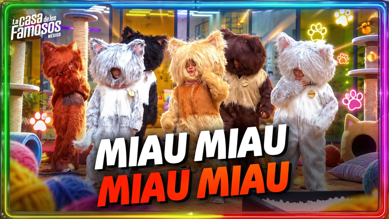 ¡QUÉ TIERNOS MICHIS! Los habitantes hacen un LINDO Y GATUNO BAILE