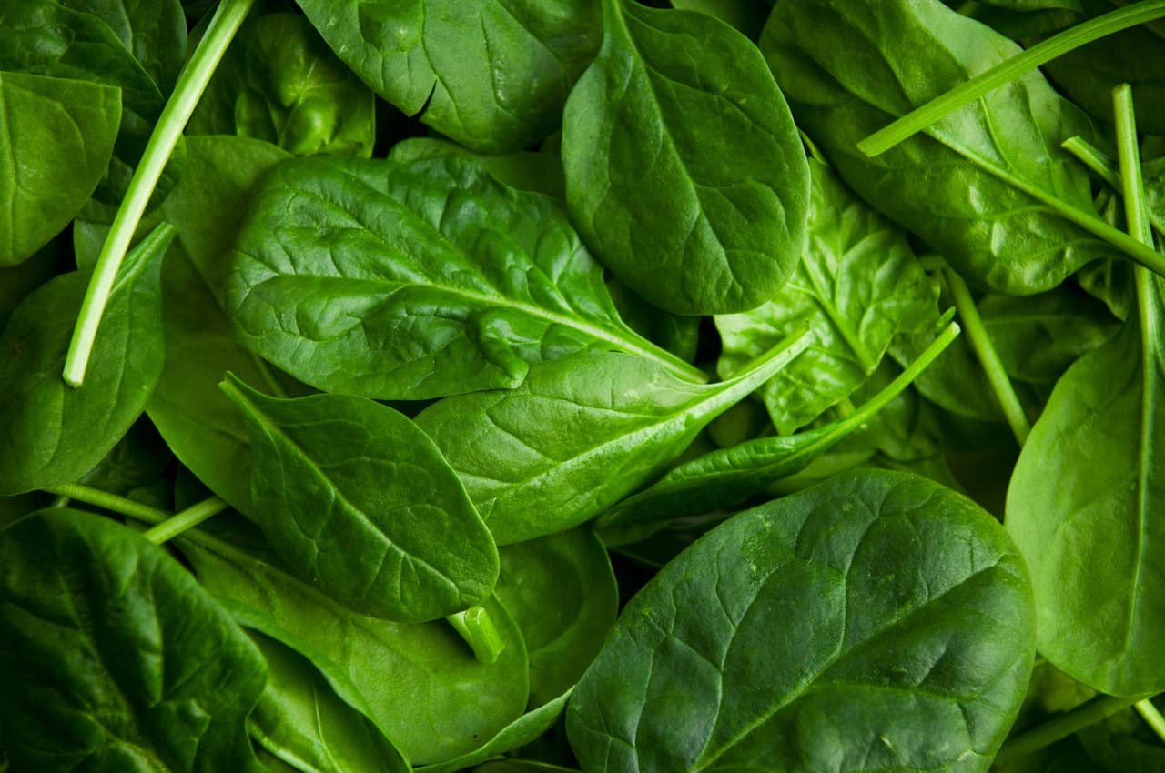 <h3 class="cms-H3-H3">Espinacas</h3>
<br>
<br>Este alimento contiene kampferol. La espinaca es una fuente excelente de vitaminas K, A, C y ácido fólico. También es rica en manganeso, magnesio, hierro y vitamina B2. La vitamina K es importante para la salud de los huesos y es difícil encontrar vegetales con más vitamina K que la espinaca. 
<br>