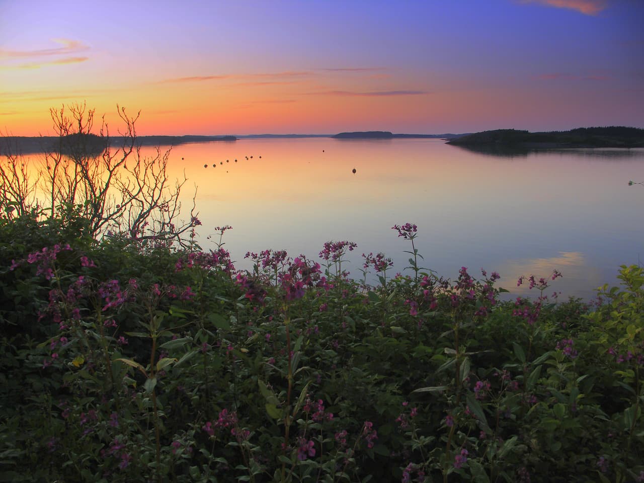 <b>Cobscook Shores (Maine, Estados Unidos)</b>
<br>
<br>Un nuevo grupo de parques en el extremo noreste de Estados Unidos alivia la aglomeración en otros puntos de este concurrido estado, especialmente en el conocido Parque Nacional Acadia. 
<br>
<br>Los visitantes de Cobscook Shores conocerán playas vírgenes y acantilados a los que se puede llegar a través de rutas de senderismo y ciclismo, así como canales para ser explorados en pequeñas embarcaciones.
<br>