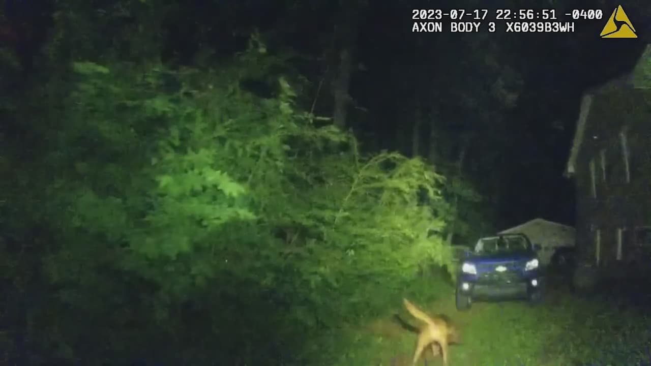 Oficial K-9 ayuda a localizar a anciana desaparecida en el bosque del condado de Cobb