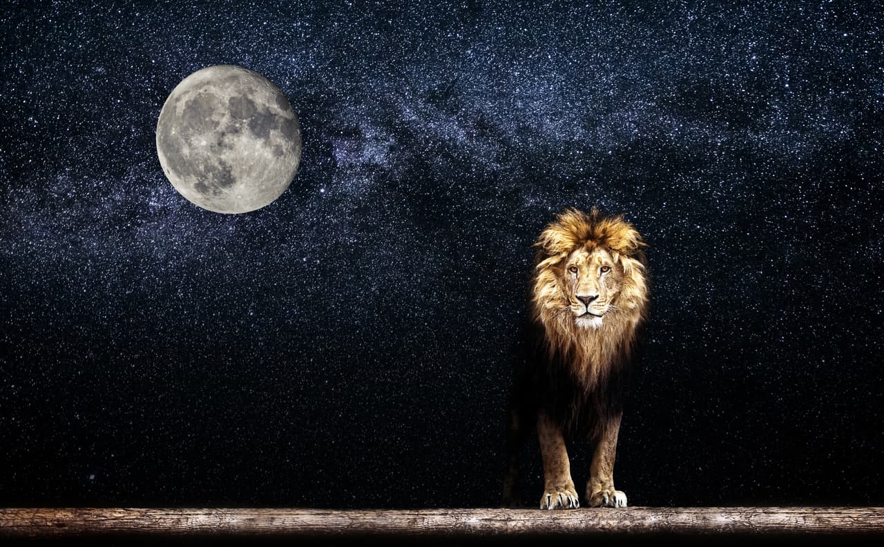 <b>Octubre: la luna del cazador</b>
<br>
<b>Signo que la rige: Libra y Perro en el horóscopo chino</b>
<br>
<br> La primera luna después de la luna de la cosecha es la luna del cazador, así llamada porque es el mes preferido para cazar venados y zorros cebados por el verano incapaces de ocultarse ahora en el campo desierto. 
<br>