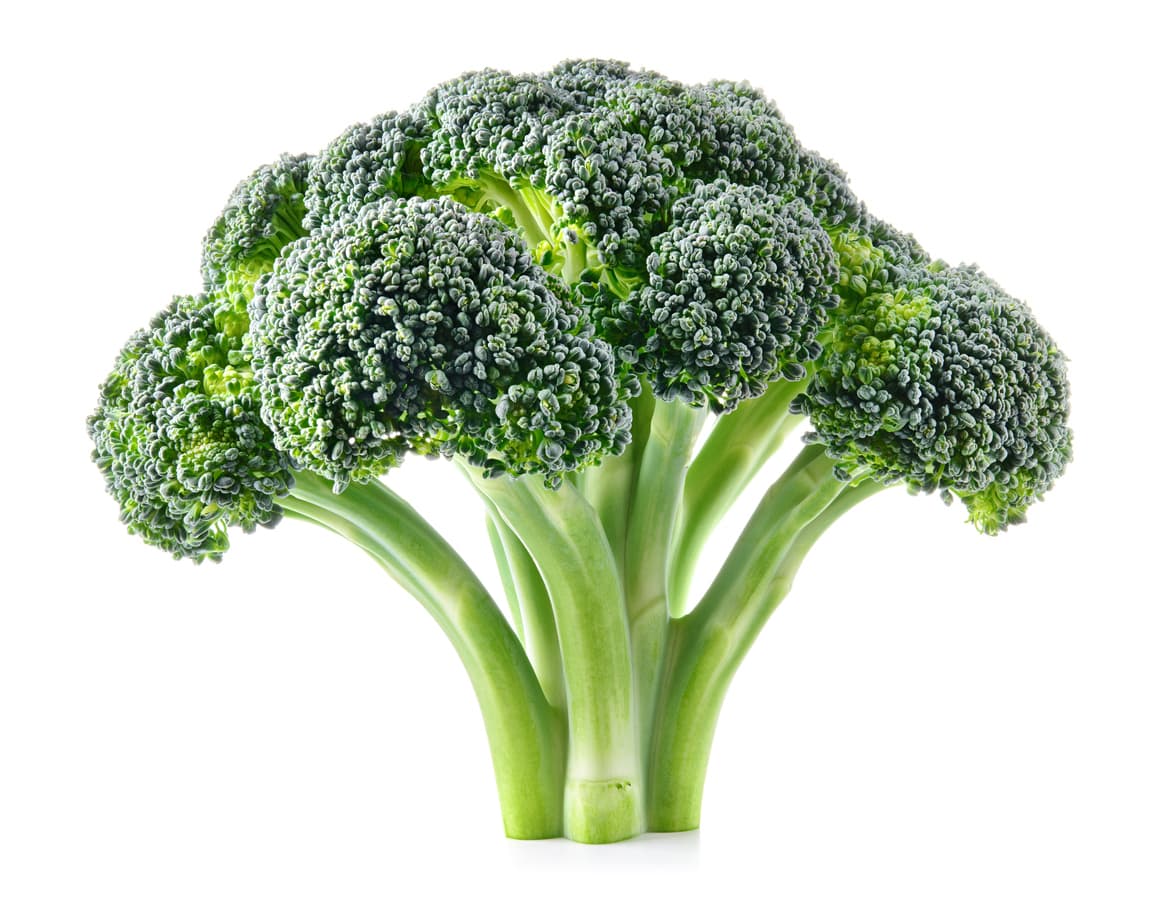 <b>Brócoli.</b>