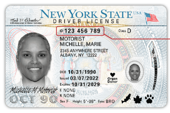 Licencias de conducir de República Dominicana podrán ser homologadas en Nueva York