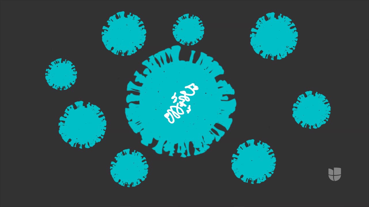 <b>En video:</b> ¿Has escuchado hablar de mutaciones, nuevas cepas y cómo un virus puede transformarse y tener mayor poder de contagio que antes, por ejemplo? Te contamos cómo funcionan y qué pasa con el coronavirus si mucha gente decide no vacunarse. Lee más 
<a href="https://www.univision.com/noticias/no-existe-variante-colombiana-y-te-contamos-cuales-si-lo-son">información</a> 
<a href="https://www.univision.com/noticias/no-hay-evidencias-variante-delta-mas-letal">aquí</a> y en 
<a href="https://www.univision.com/especiales/noticias/detector/" target="_blank">univision.com/eldetector</a>.