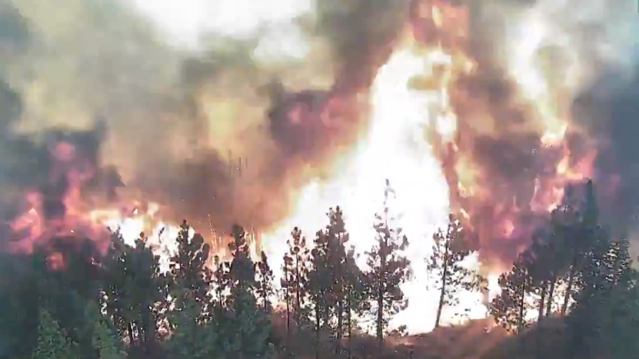 <b>En video:</b> Las autoridades informaron que el incendio Dixie había consumido 198,021 acres y solo había podido ser contenido en un 22% hasta el 27 de julio.