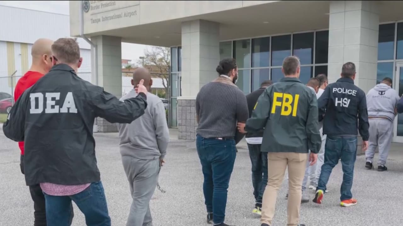 Siete presuntos miembros de carteles colombianos llegan a Tampa: los acusan de traficar droga a México