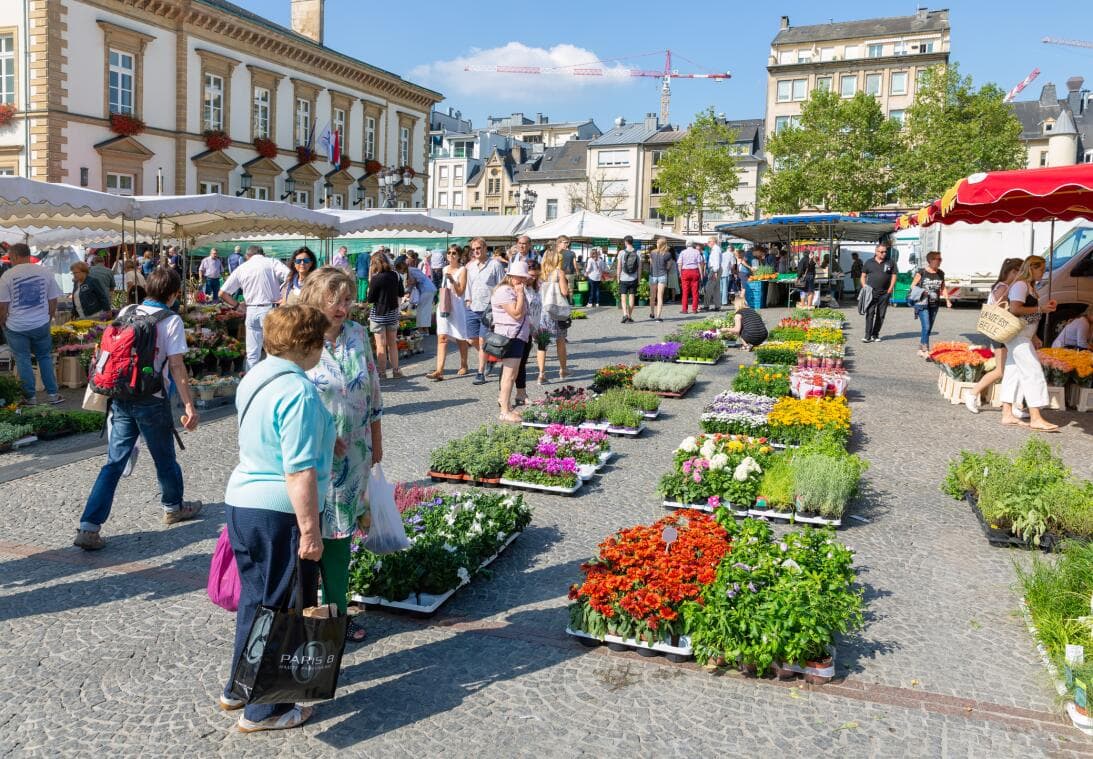 <b>Puesto 9: Luxemburgo</b>
<br>
<br>⬇️Bajó 3 lugares. Posición en 2022: 6.
<br>
<br>Luxemburgo cuenta con un estándar de vida alto y un balance entre el tiempo libre y el trabajo que incluye que cada empleado tiene derecho 
<b>a un mínimo de 26 días hábiles de vacaciones pagadas por año: eso son unas cinco semanas libres anuales.</b>