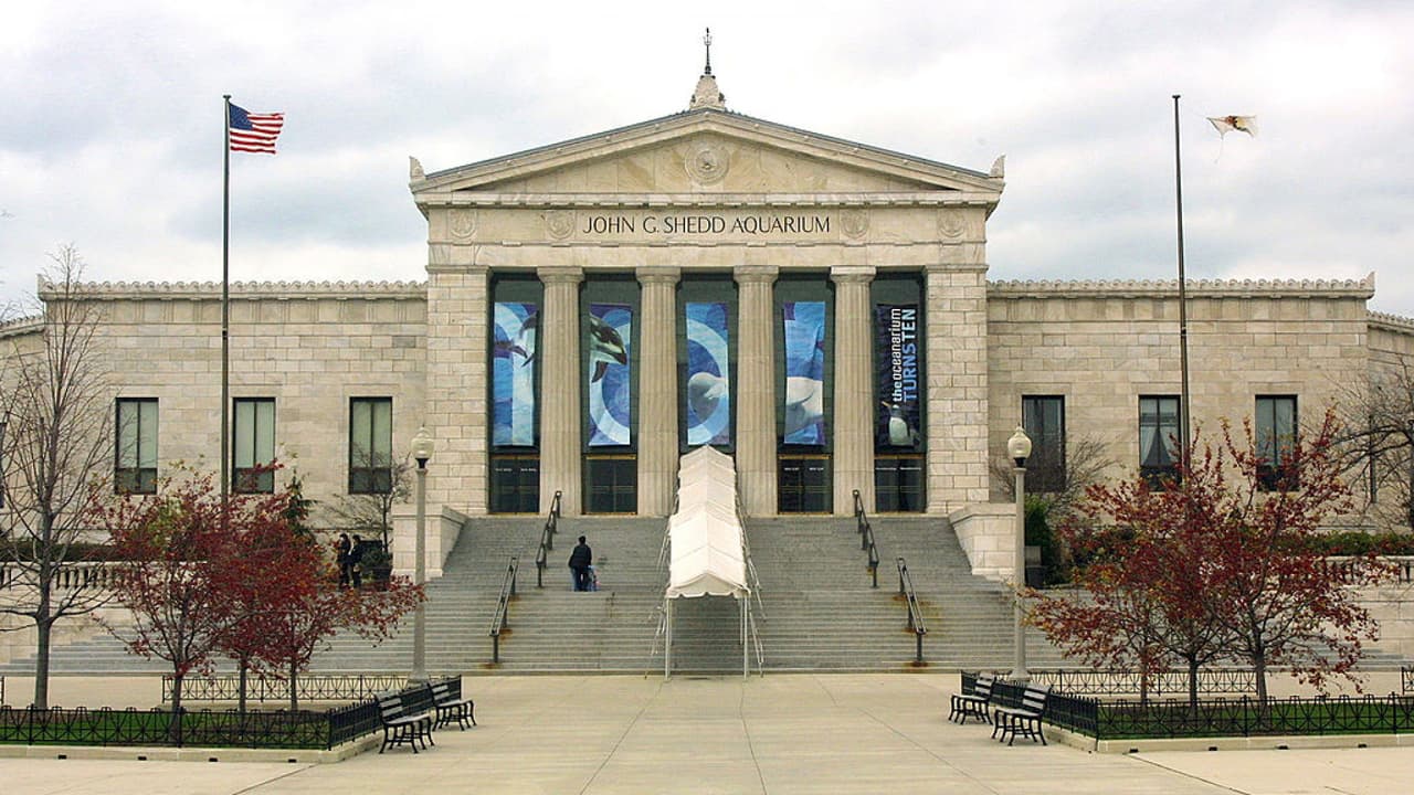 <b>Museos, acuario y arte:</b>
<br>Si entre tus planes está visitar el acuario o algún museo en los próximos días, debes saber que estos espacios tienen una capacidad de hasta 25% en el nuevo plan de reapertura.