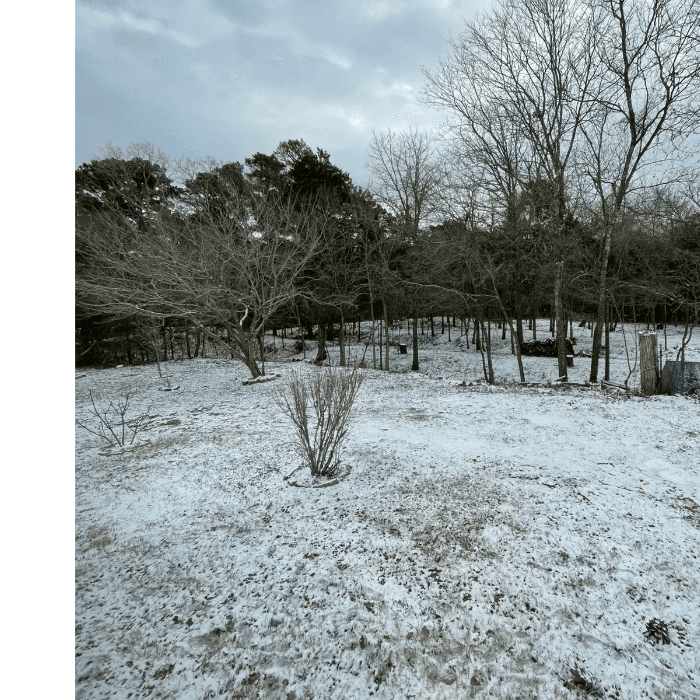 La tormenta invernal trajo una densa capa de nieve que cubrió la ciudad y varias zonas del centro de Texas. 
<br>
<br>Usuarios de Univision enviaron las imágenes de cómo vivieron la primer nevada del 2025.