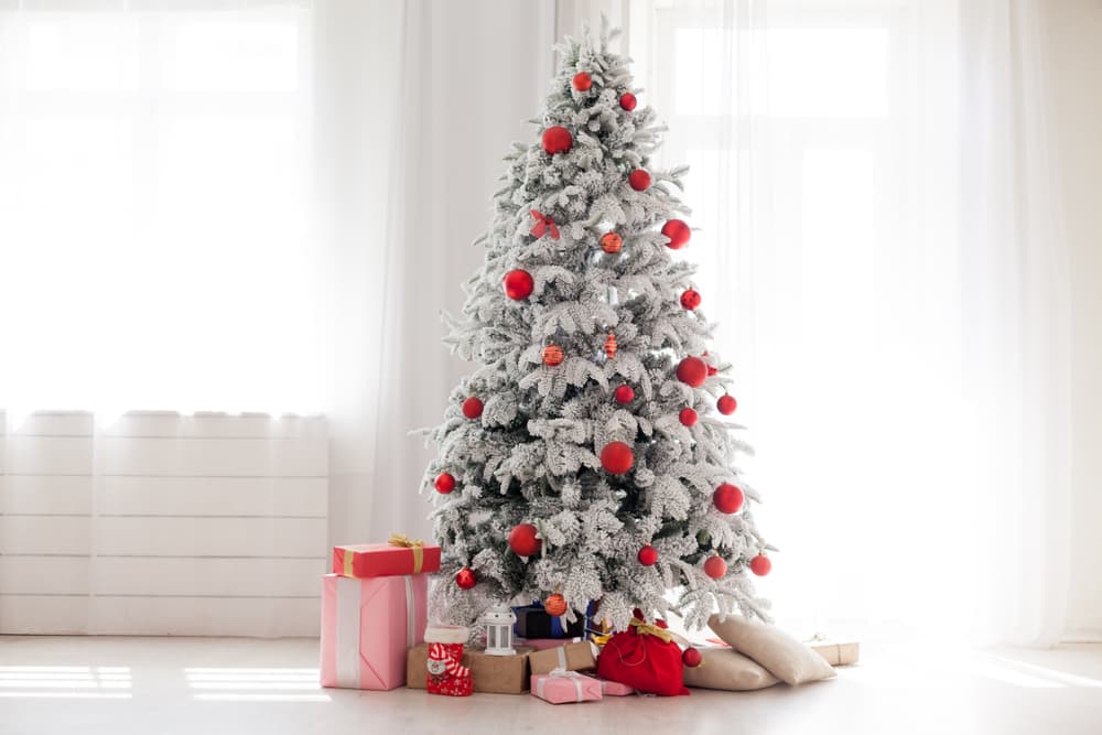 Los celtas, por su lado, decoraban los robles con algunas frutas y también prendían velas durante los solsticios de invierno. Para ellos era una forma de reanimar el árbol y asegurar el regreso del sol y de la vegetación tras el duro clima de la temporada.