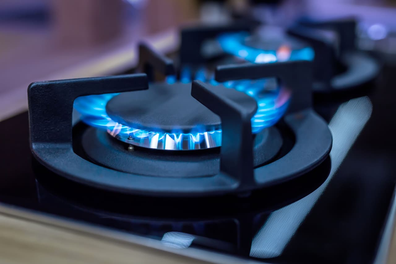 <b>Gas Natural: +25.1%</b>
<br>
<br>Los precios del gas natural han subido por motivos similares a los de la gasolina. El paso del huracán Ida por el Golfo de México también afectó la producción de las refinerías estadounidenses, lo que hace que el suministro tarde en estar disponible y suba el precio. 
<br>
<br>Muchos hogares podrían ver un aumento considerable en sus facturas de calefacción en lo que resta de este invierno, en comparación con el invierno pasado.