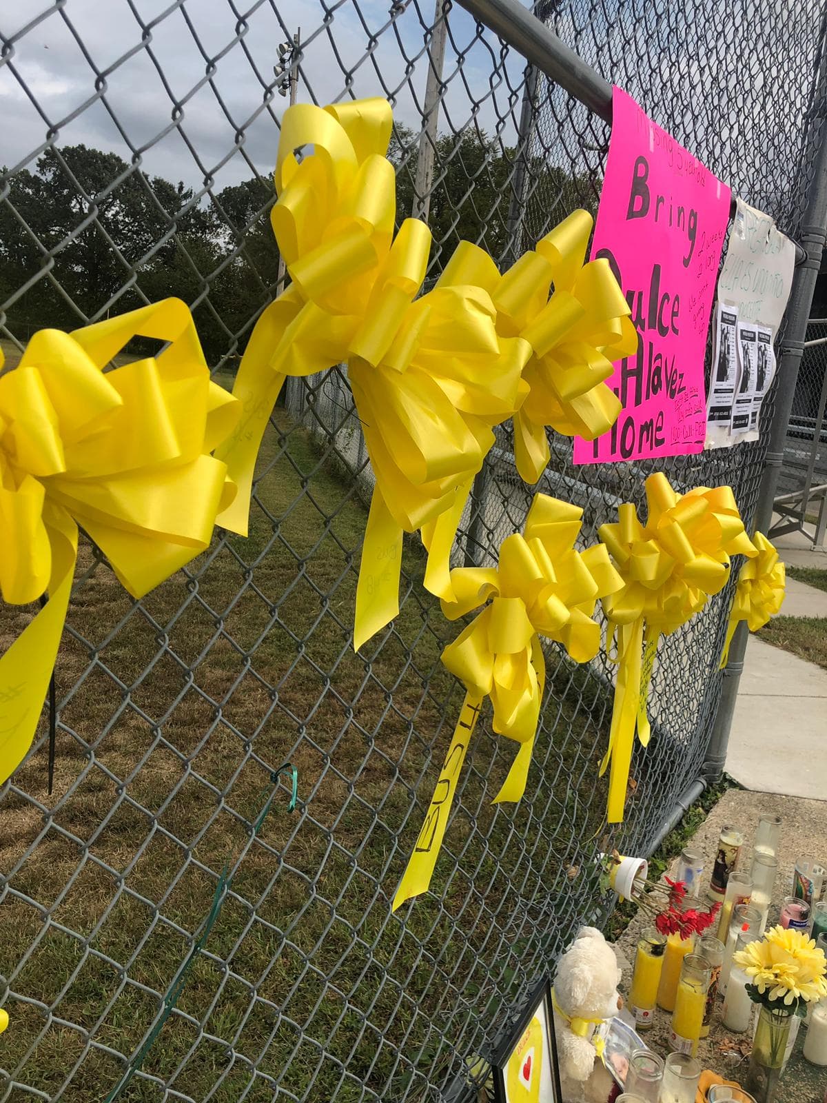 <b>Viernes, 27 de septiembre</b>| El Bridgeton City Park amaneció con lazos amarillos, juguetes, velas y carteles con mensajes de esperanza por la aparición de la pequeña Dulce. 
<br>