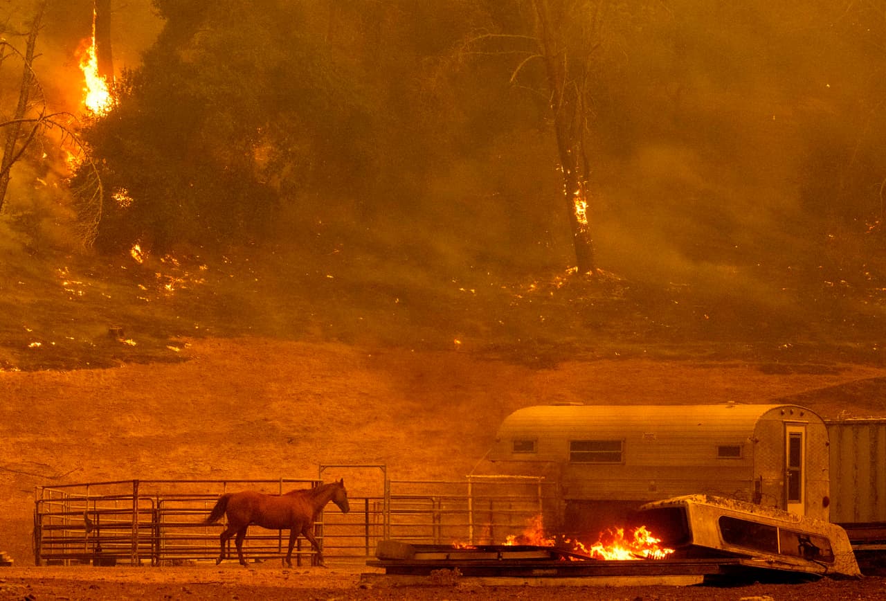 Newsom dijo que la declaración de emergencia se dio para garantizar que los recursos estén disponibles para los bomberos que luchan contra los más de 30 incendios que están activos en el estado.
