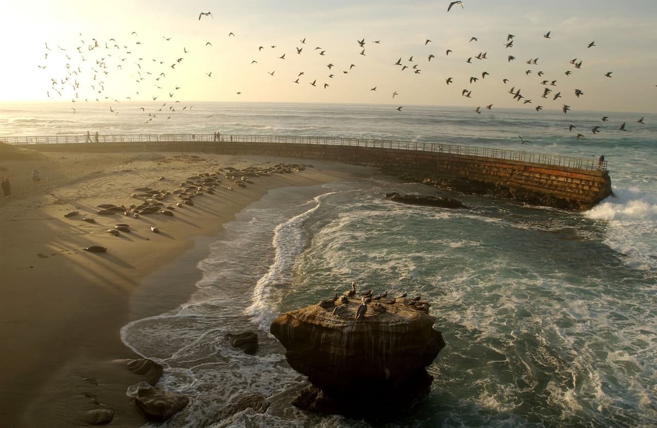 2. 
<b><a href="https://www.univision.com/local/los-angeles-kmex/la-jolla-san-diego-paseo-san-diego-california-fotos" target="_blank">La Jolla </a></b>
<br>Cuevas marinas, piscinas naturales y hasta una zona protegida para alumbramiento de focas son los encantos naturales de esta comunidad de playa en el sur de California.
<br>Dirección: San Diego County, California.