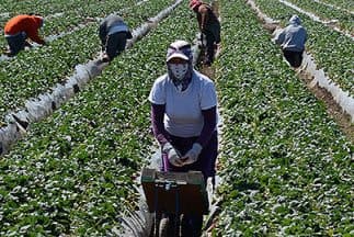 Presentan propuesta de ley para ayudar a familias de agricultores 