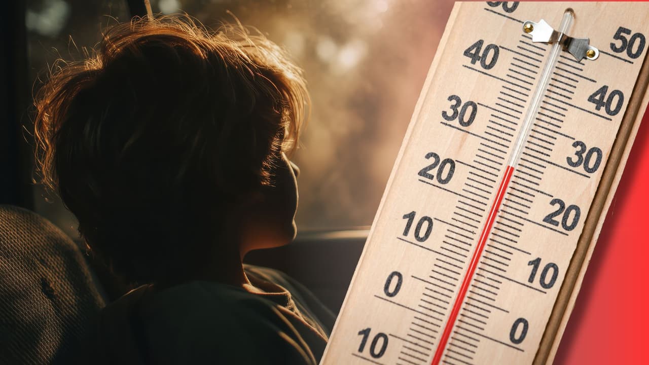 Cuatro niños muertos en autos calientes en Texas: ¿cómo prevenir otra tragedia este verano?