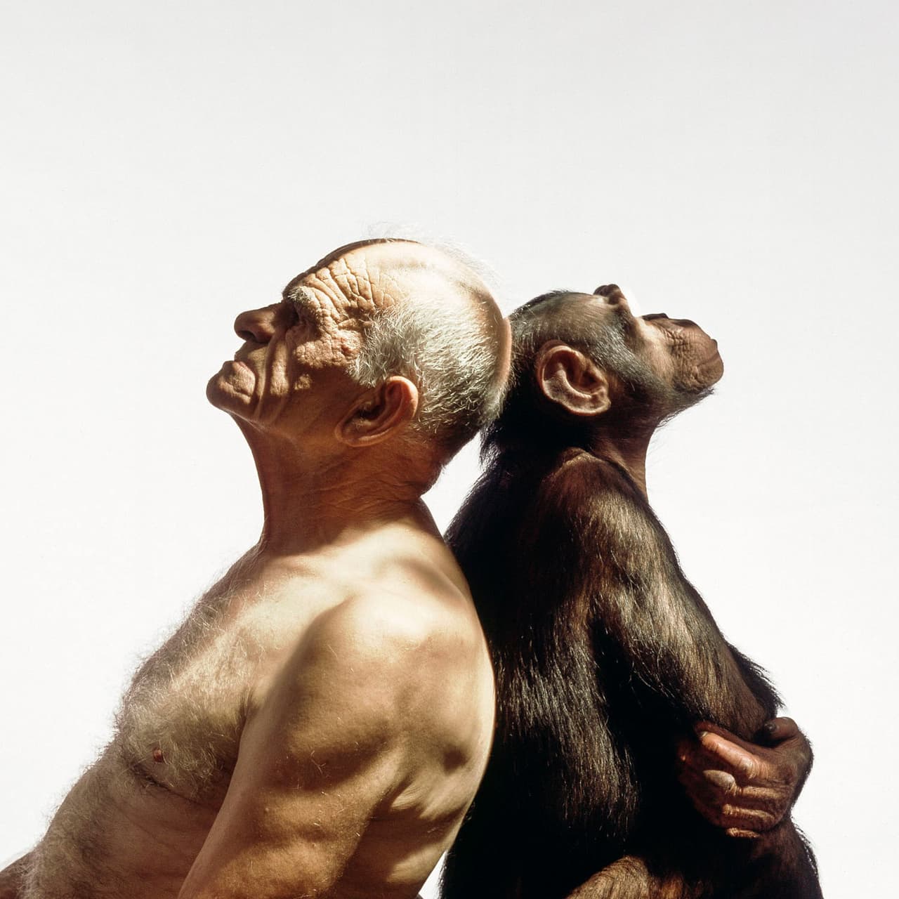 <b>‘El viejo y el simio’</b>
<br>
<br>Esta fotografía de estudio de un hombre y un chimpancé es uno de los trabajos destacados del fotógrafo 
<a href="https://vitalimpacts.org/collections/james-balog"><u>James Balog</u></a>, quien durante cuatro décadas se ha dedicado a documentar la modificación que los seres humanos hemos hecho a la naturaleza.
<br>
<br>La imagen forma parte de 
<a href="https://vitalimpacts.org/"><i>Vital Impacts</i></a>, una iniciativa impulsada por la galardonada fotógrafa Ami Vitale y la periodista visual Eileen Mignoni, quienes lograron reunir a 100 de los fotógrafos más importantes del mundo para colaborar por la preservación del mundo natural.
