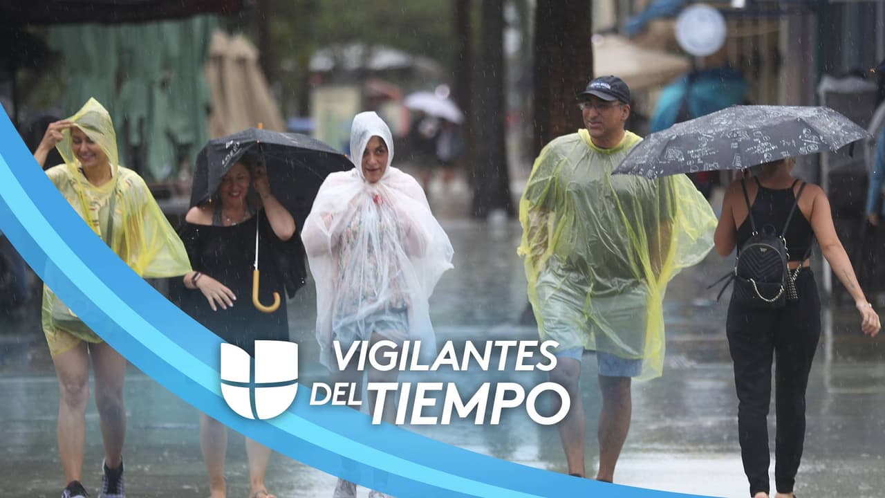 Persiste la nubosidad y lluvias en Miami para este lunes, no olvides salir con el paraguas