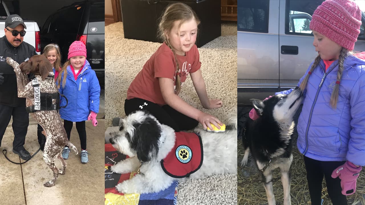 emma perritos
