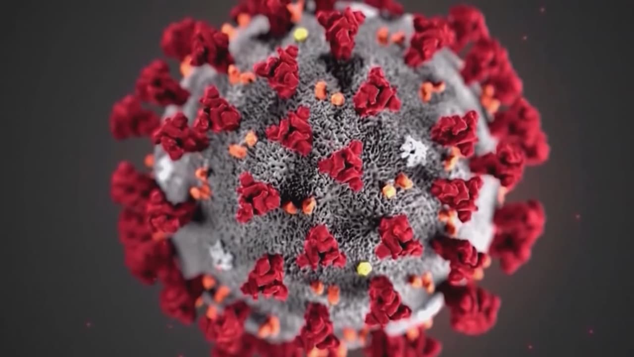 El coronavirus fue detectado hace cuatro meses, y si bien fue identificado dentro de una familia de virus conocida por los científicos, esta última mutación tiene un comportamiento y resistencia sobre las superficies completamente diferente.
<br>