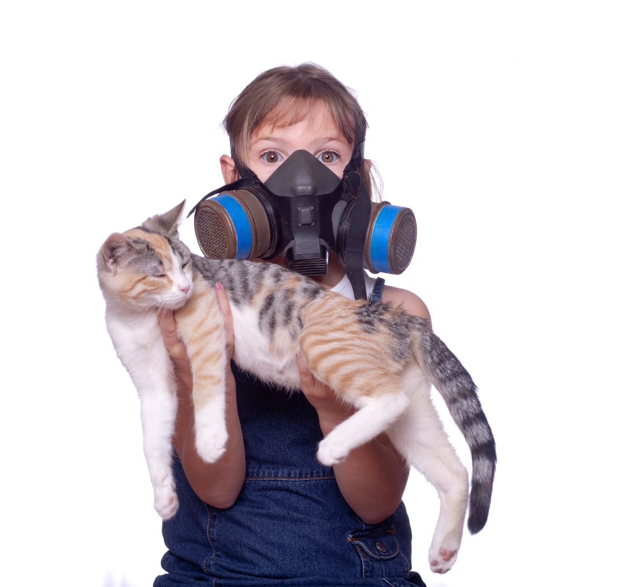 Energéticamente, quienes tienen alergia a los mininos, son personas con dificultades para permitir que el amor llegue a sus vidas.