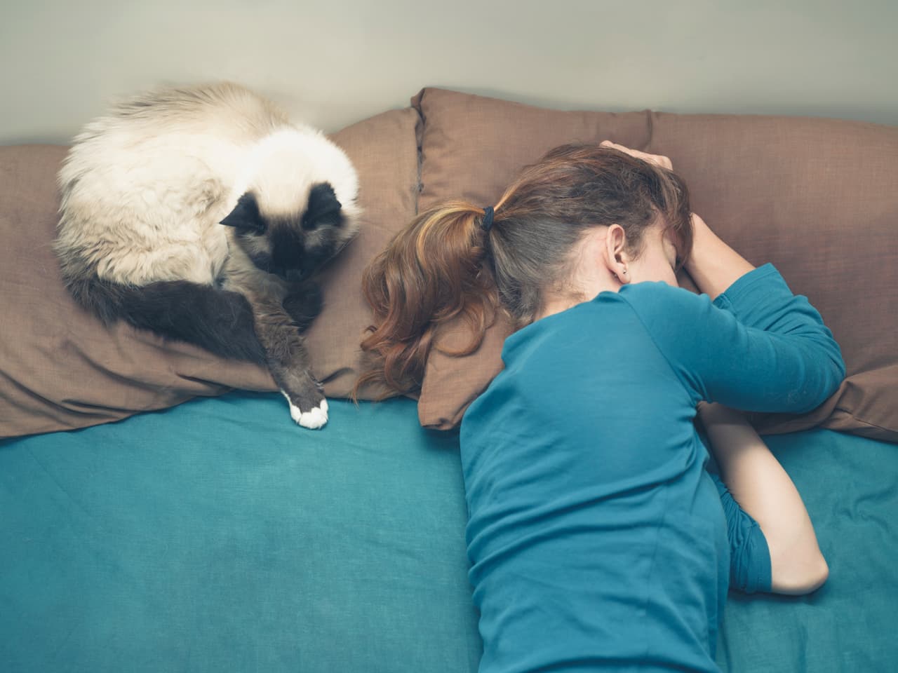 ¿Tu gato suele dormir mucho contigo? No lo alejes: quiere protegerte de aquellos seres indeseables.