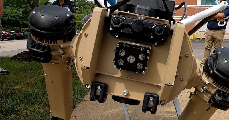 El Departamento de Seguridad Nacional (Department of Homeland Security, DHS), 
<a href="https://www.univision.com/noticias/inmigracion/perros-robot-patrulla-fronteriza-cbp-estados-unidos">en un comunicado difundido a inicios de este mes</a>, indicó que la frontera entre México y Estados Unidos "
<b>puede ser un sitio inhóspito</b> para los humanos y los animales, y es por ello que estas máquinas pueden servir mucho ahí".