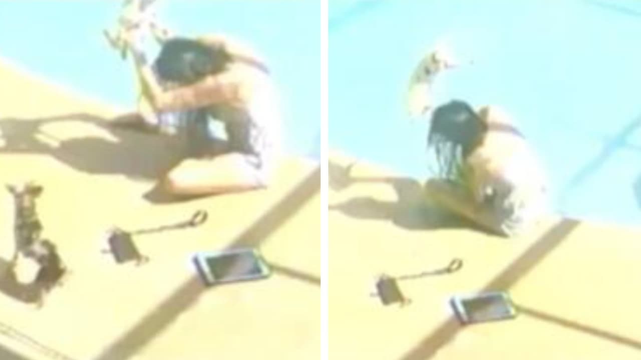 En la cárcel mujer acusada de ahogar a su perro en una piscina en Florida 