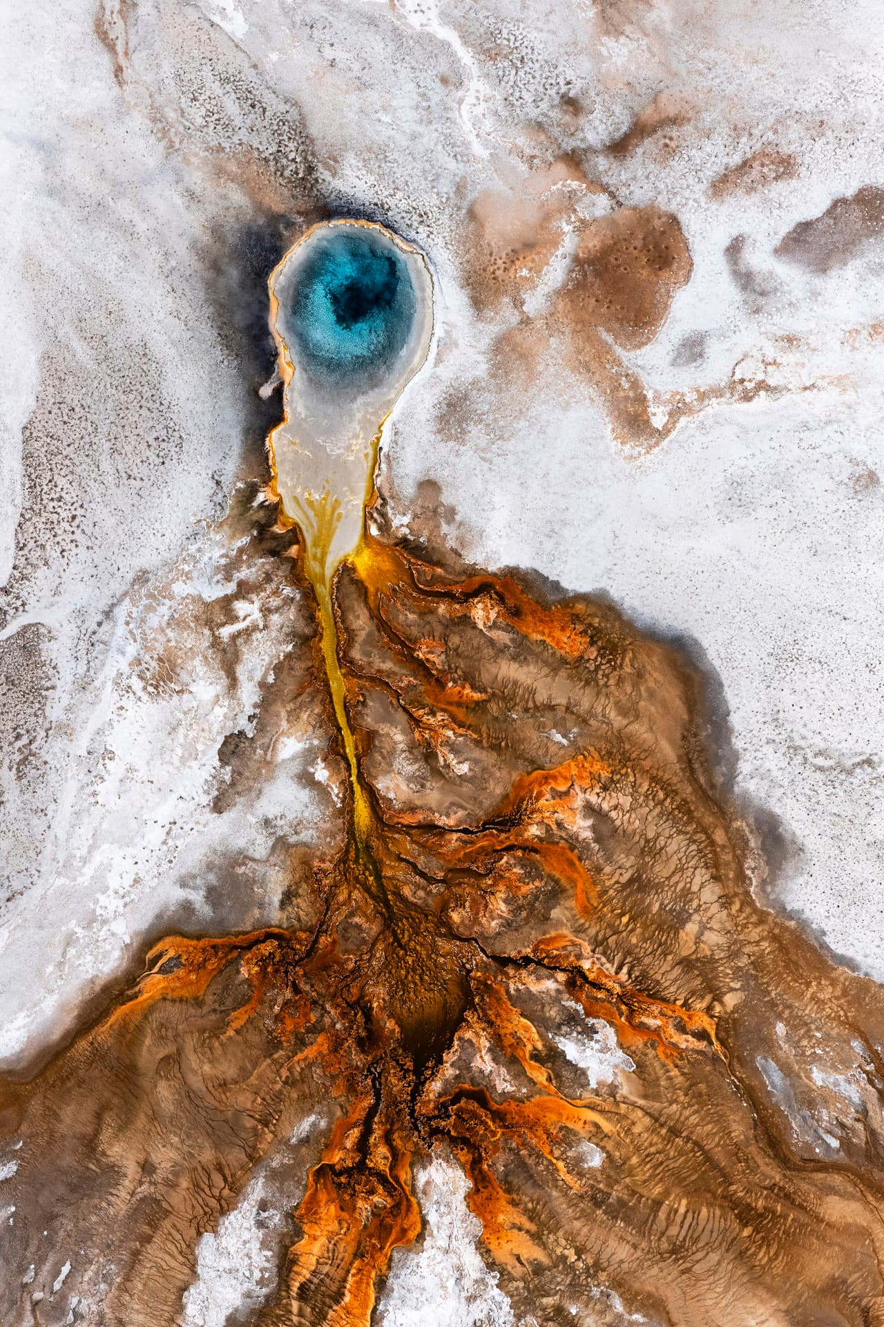 Las aguas termales, géiseres y pozas de lodo burbujeante del Parque Nacional Yellowstone fascinan por su variedad de colores.