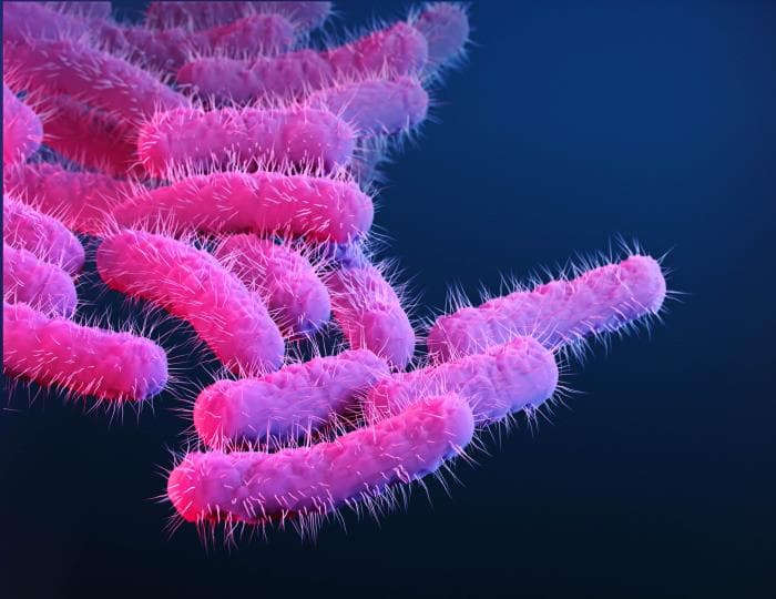 "Seria amenaza a la salud pública": alertan sobre infección estomacal que no responde a antibióticos