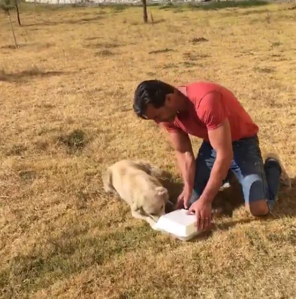 Intentó adoptarla, pero se puso muy nerviosa y decidió dejarla en libertad, pero eso sí, le daba de comer cada vez que la veía.