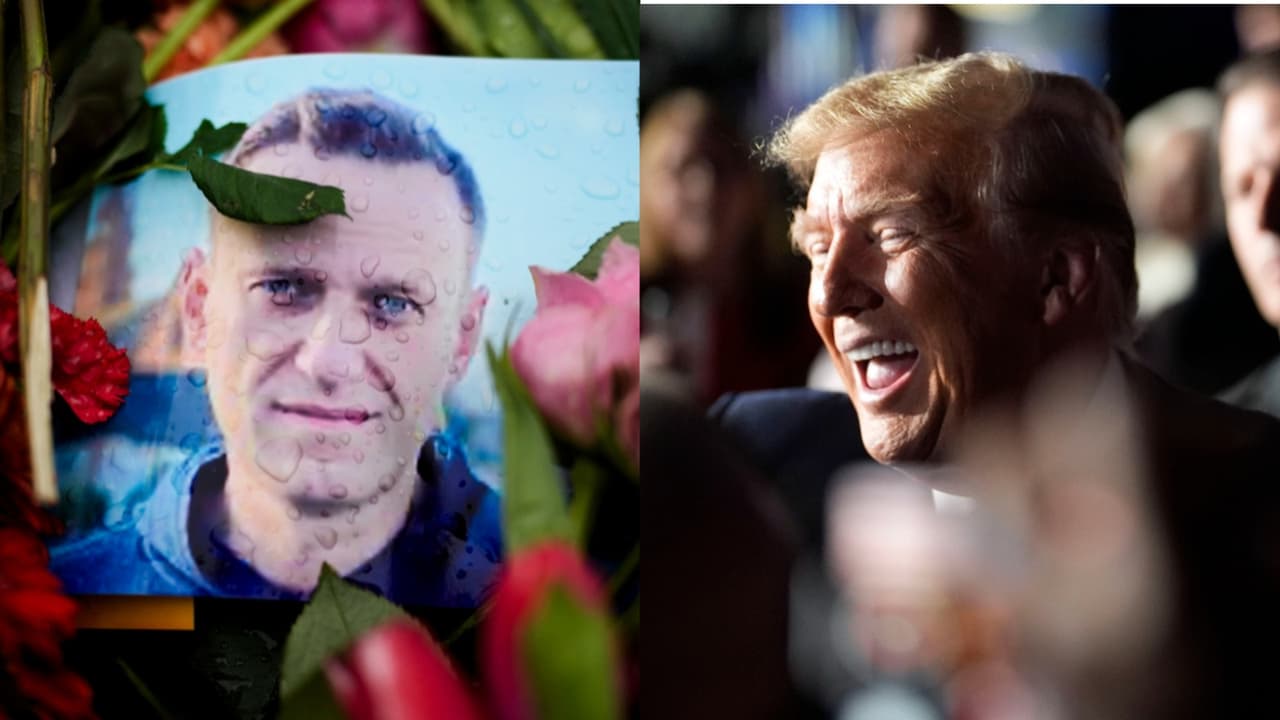 Por qué son tan preocupantes para EEUU los comentarios de Trump sobre Alexei Navalny (y qué sugieren de sus vínculos con Putin)