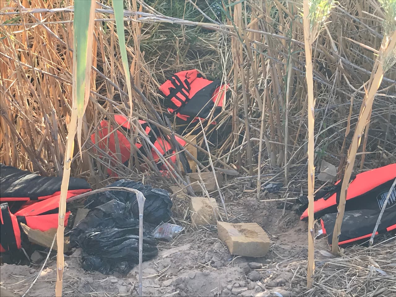 Las dos viajeras confesaron que fue en el inicio de su viaje, mientras cruzaban el estado de California, en donde más encontraron prendas y objetos de inmigrantes que habían sido dejados atrás.