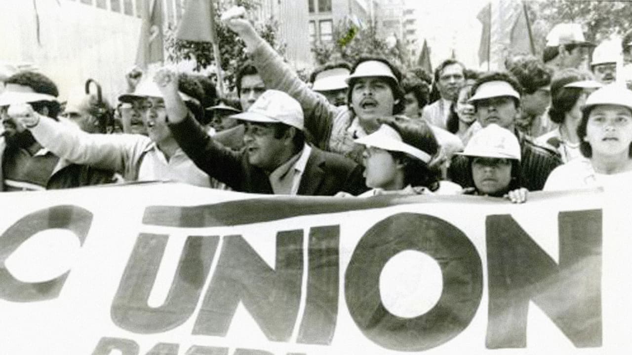 <b>La ley general de Amnistía. </b>En noviembre de 1982 se aprueba una Ley General de Amnistía para la guerrilla. Dos años después se pacta un cese del fuego, al tiempo que surge el movimiento Unión Patriótica, brazo político de las Farc, que va a elecciones, mientras continúa armado en la selva. UP logra elegir en 1986 a 4 congresistas, 18 diputados y 335 concejales. La mayoría de sus líderes fueron asesinados, lo que complicaría cualquier acuerdo de pacificación en el futuro.