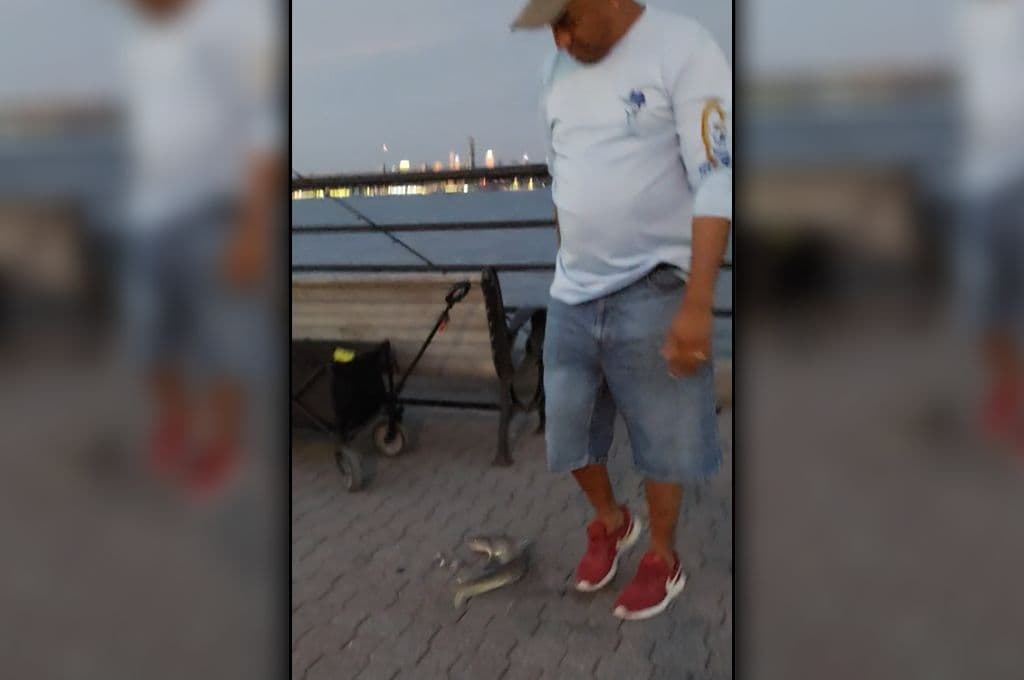 Pescador captura pequeño tiburón en el río Hudson