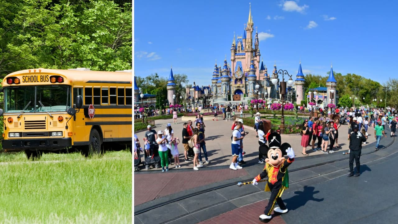 Descubren que los viajes a Disney World para estudiantes sin hogar en Nueva York los disfrutaban otros 