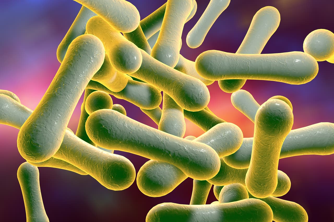 <b>Difteria</b>
<br>
<b>Introducción de las vacunas: 1921</b>
<br>
<b>Impacto: disminución de casi el 100% de los casos.</b>
<br>
<br>Antes de la vacunación masiva, unos 15,000 estadounidenses perdieron la vida por esta enfermedad en la década de 1920. Esta infección bacteriana puede causar complicaciones graves como parálisis, daño a los nervios y neumonía. Fue una de las principales causas de muerte entre los niños antes de que se desarrollara la vacuna en 1921. Ese año, más de 15,000 pequeños murieron de difteria en Estados Unidos. Entre 2004 y 2017, 
<a href="https://www.cdc.gov/vaccines/parents/diseases/hib-sp.html"><u>solo hubo dos casos de difteria en todo el país</u></a>, según los Centros de Prevención y Control de Enfermedades (CDC por sus siglas en inglés).