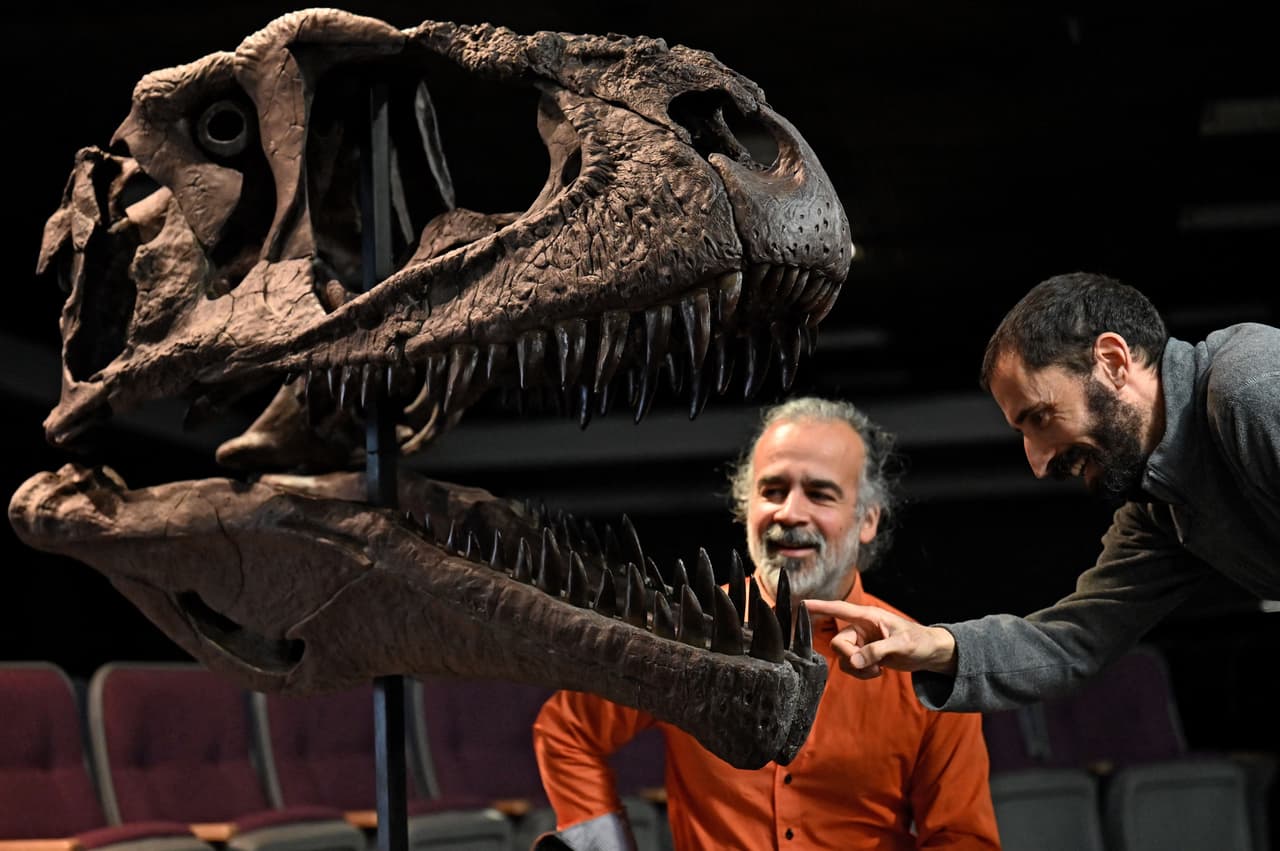 Los paleontólogos argentinos Sebastián Apesteguia y Pablo Gallina muestran una réplica del fósil de Meraxes gigas.
<br>
<br>
<b>Los Meraxes existieron de 90 a 100 millones de años atrás, durante el Cretácico, en una región que era más húmeda, más boscosa y mucho más cercana al mar, dijo Makovicky. </b>
<br>