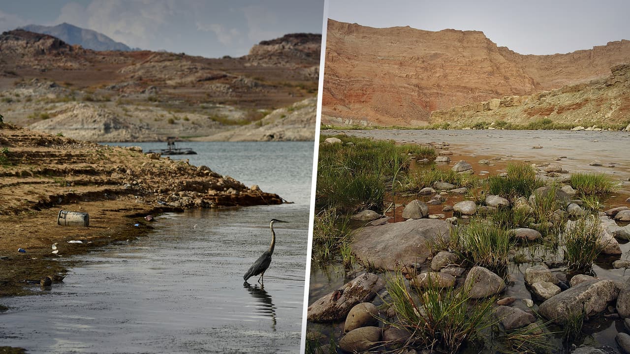 Científicos lanzan una advertencia: se está agotando el agua subterránea en la cuenca del río Colorado 