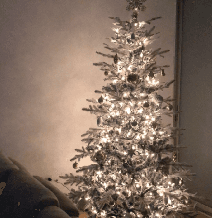 "Primera navidad en nuestro hogar", compartió Kristal Lebrón.
