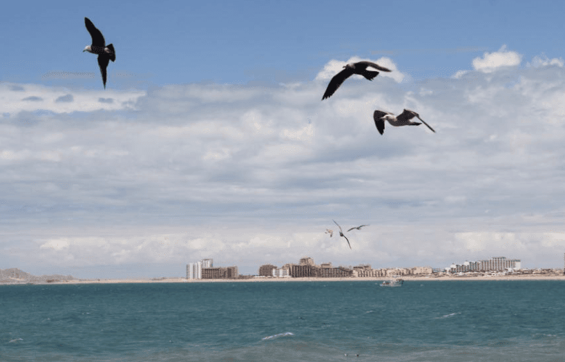 ¿Planeas viajar a Puerto Peñasco? Autoridades consulares piden reconsiderarlo por seguridad