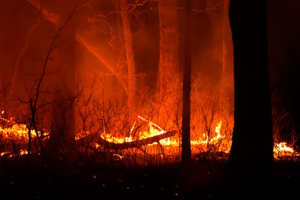El incendio forestal en el condado de Ocean ya ha consumido casi 12,000 acres (aproximadamente 48.5 kilómetros cuadrados) según informan las autoridades.