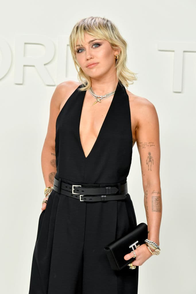 <b>Mullet</b>
<br>Un estilo de los 70 que juega con dos extensiones: más corto en la parte superior de la cabeza y los lados y más largo en la parte de atrás, como lo muestra 
<b>Miley Cyrus</b>, añadiéndole un flequillo.