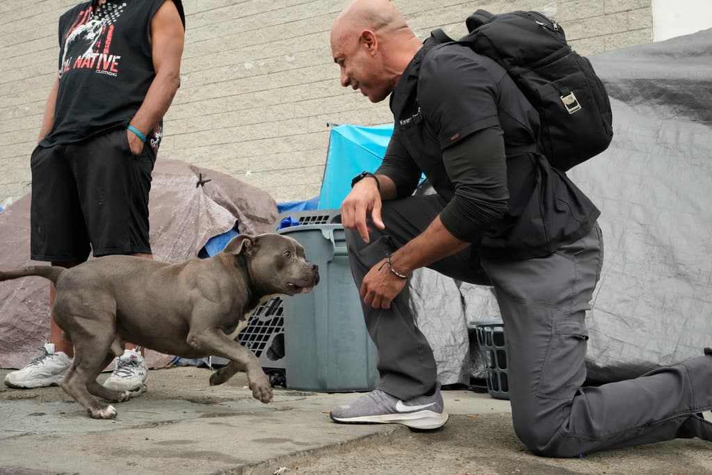 Si no hay dinero ni para hacer una comida al día, ¿cómo podrían estas personas atender la salud de sus mascotas? Conociendo la respuesta, el 
<b>veterinario Kwane Stewart </b>comenzó hace más de 10 años a ofrecer servicios gratuitos a las 
<b>mascotas que viven junto a sus dueños en las calles </b>de Los Ángeles y otras ciudades de California.