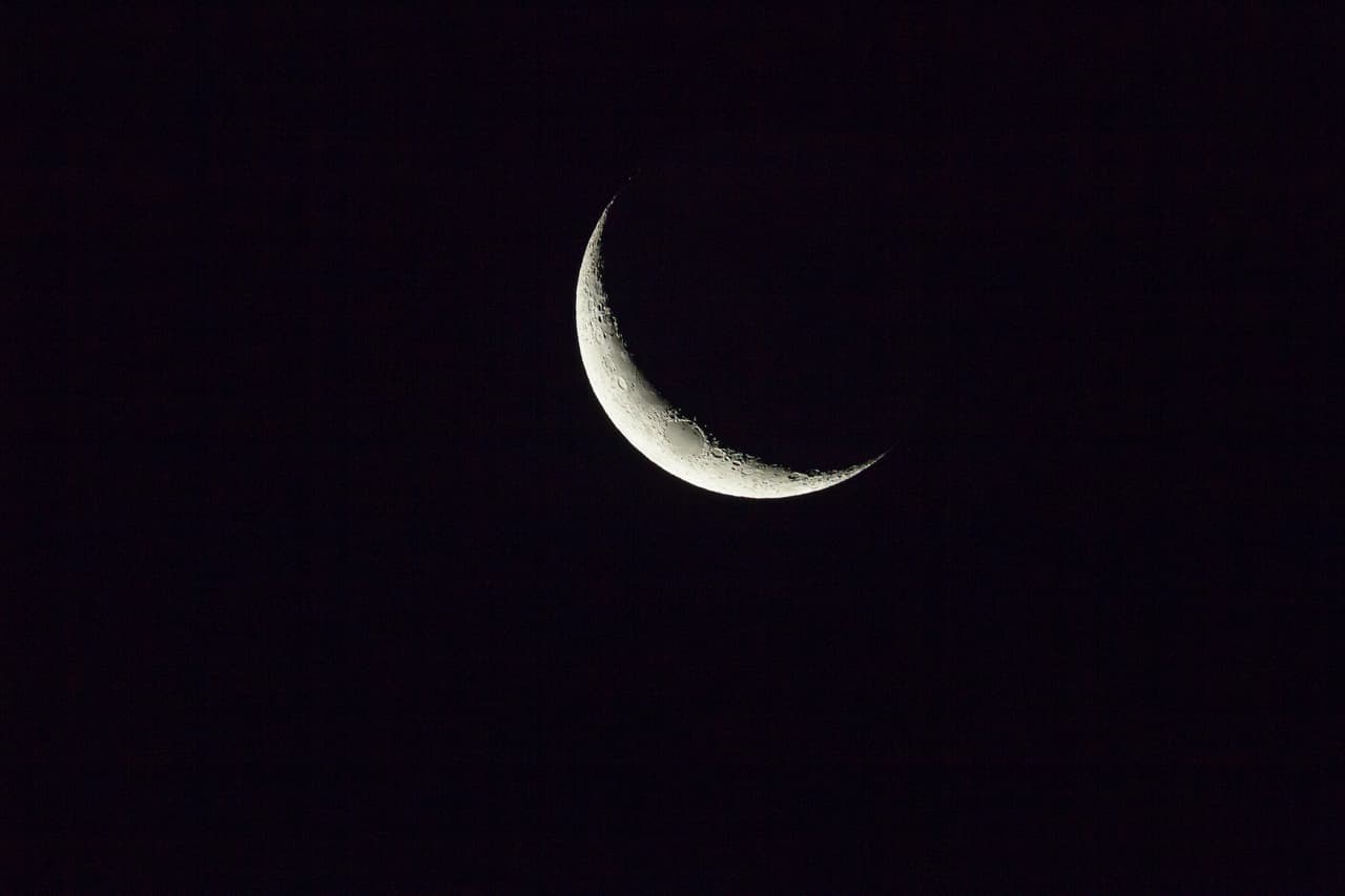 Luna Nueva / Cuarto Creciente