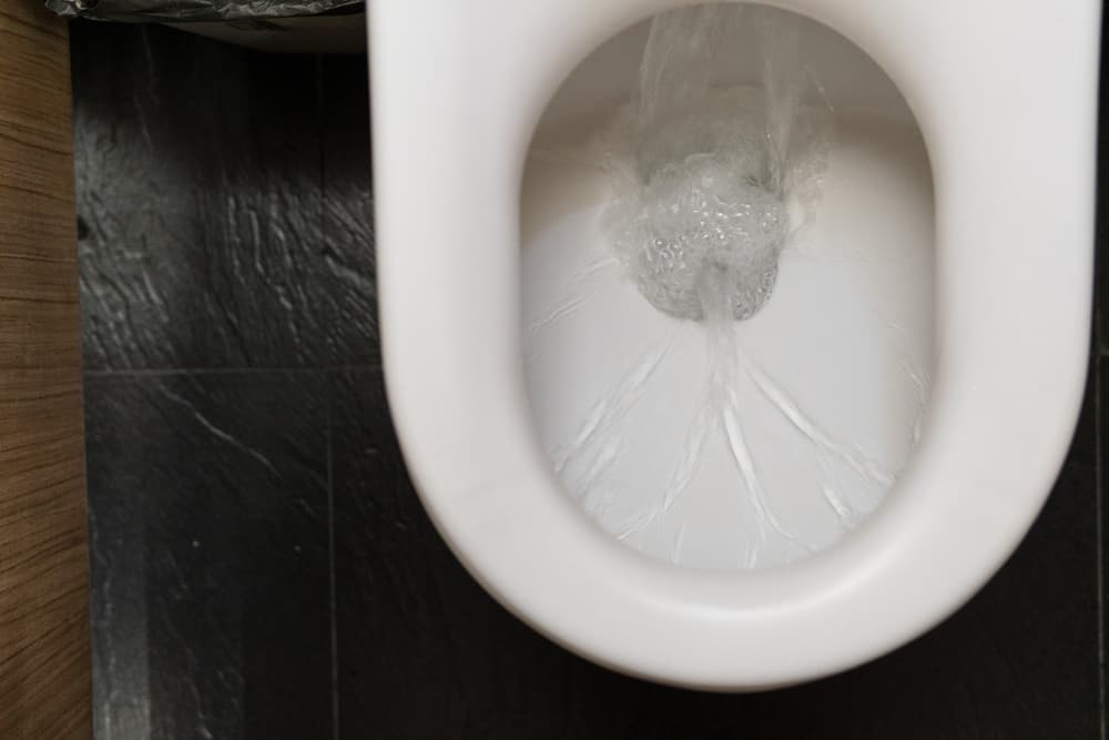 Finalmente, es esencial que tires todo el contenido del vaso de preferencia fuera de tu hogar tipo en algún riachuelo o drenaje pero si no encuentras alguno, puedes tirarlo al excusado y, muy importante, jalarle para que esa negatividad se vaya de tu hogar.