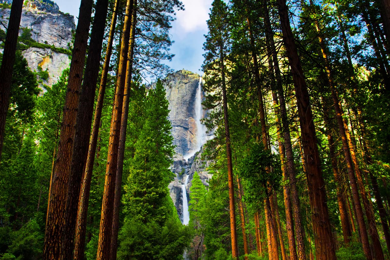 El Parque Nacional Yosemite está situado entre los filosos picos de la cadena de montañas de la Sierra Nevada, en la región este de California. Acampar es una manera extraordinariamente popular de pasar la noche en este parque pero no esperes encontrar lugar entre abril y septiembre si no tienes reservaciones.