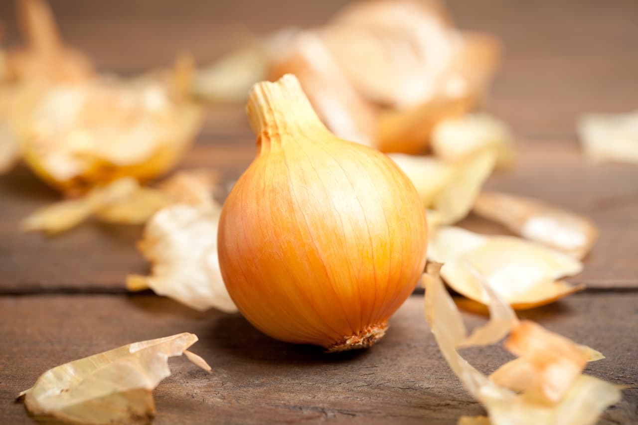 Este mito también lo puedes llevar a la recámara. Una cebolla roja grande atada a la pata de la cama protege a sus ocupantes de cualquier enfermedad y favorece su restablecimiento, si ya contrajeron alguna gripa o malestar.