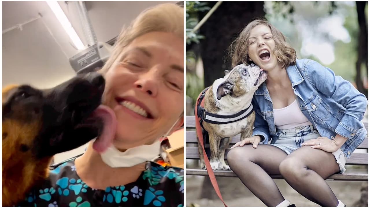 “Qué cochinada”: critican a Laura Flores por dejarse besar en la boca por un perro y ella se defiende